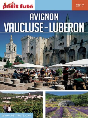 cover image of AVIGNON--VAUCLUSE 2018 Petit Futé
